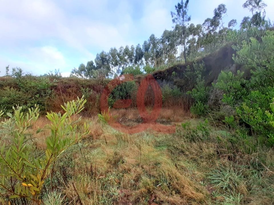 Helårsgrund i Outeiro, Viana do Castelo - foto 5