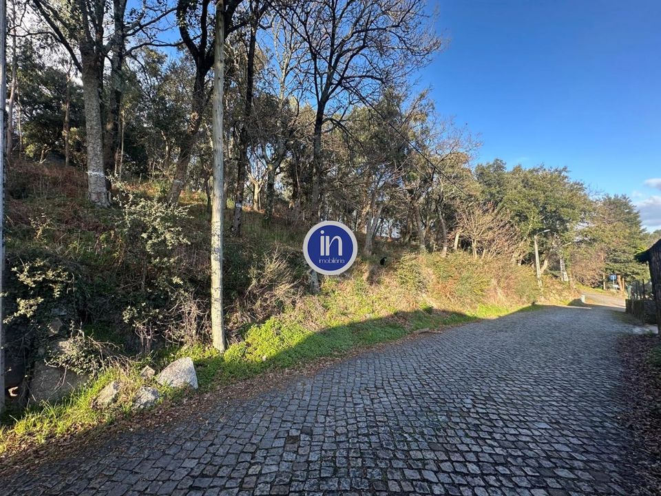 Helårsgrund i Santo Tirso, Porto - foto 3