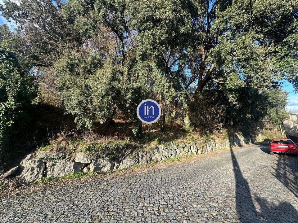 Helårsgrund i Santo Tirso, Porto - foto 5