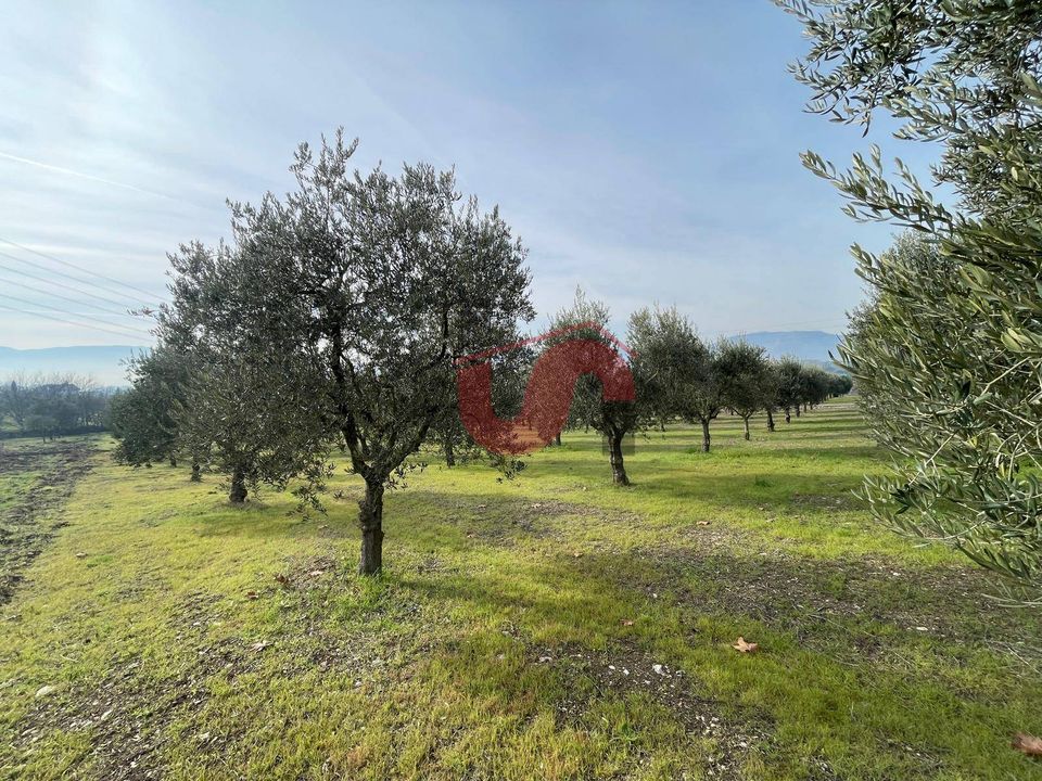 Helårsgrund i Benevento, Benevento - foto 1