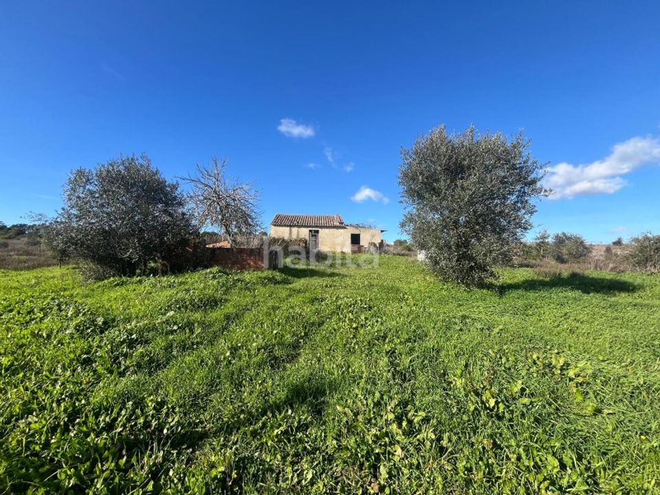 Tomt i Santo Andre, Setubal - bilde 2