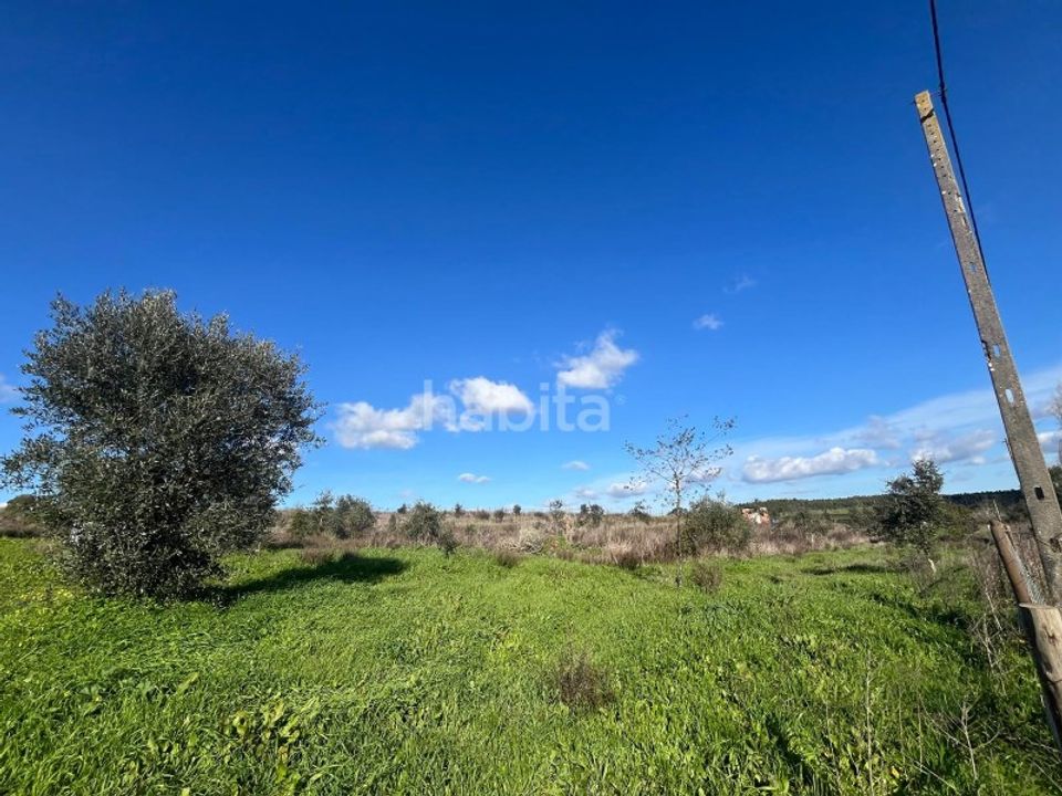 Tomt i Santo Andre, Setubal - bilde 3