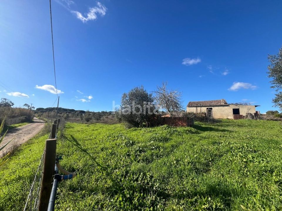 Tomt i Santo Andre, Setubal - bilde 4
