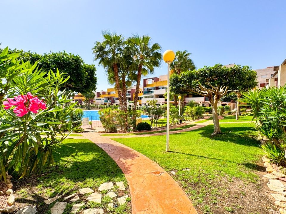 Lejlighed i Orihuela Costa, Alicante - foto 5
