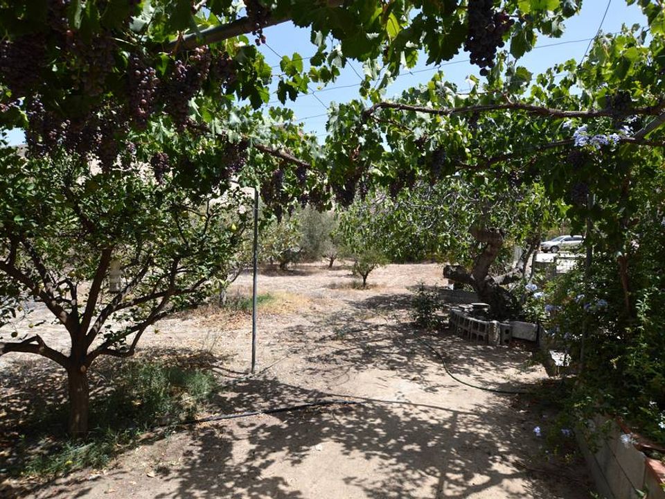 Herregård i Lubrin, Almeria - bilde 5