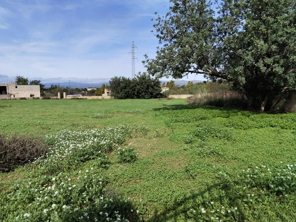 Helårsgrund i Lliria, Valencia - foto 2