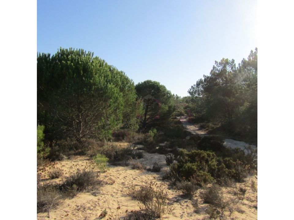 Helårsgrund i Santo Andre, Setubal - foto 2