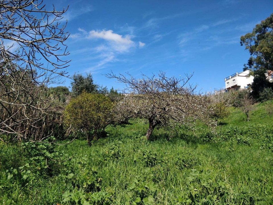 Grond in Camarate, Lisbon - foto 5