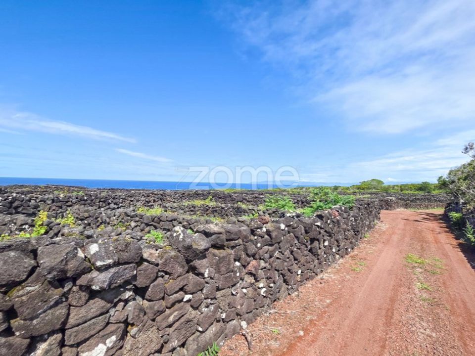Terreno en Bandeiras, Pico - foto 5