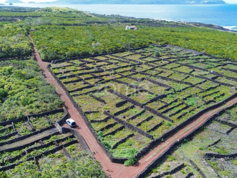 Helårsgrund i Bandeiras, Pico - foto 2