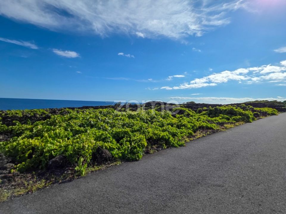 Helårsgrund i Sao Caetano, Pico - foto 5