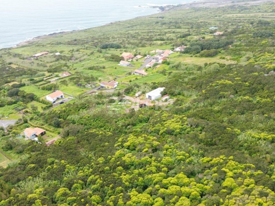 Helårsgrund i Capelo, Faial - foto 2