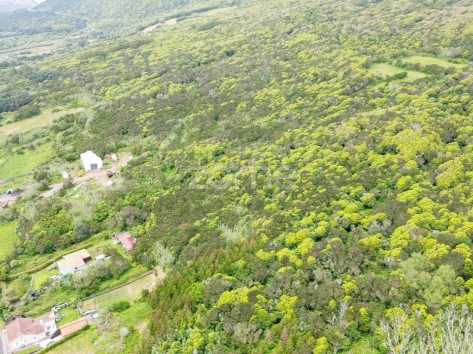 Helårsgrund i Capelo, Faial - foto 4