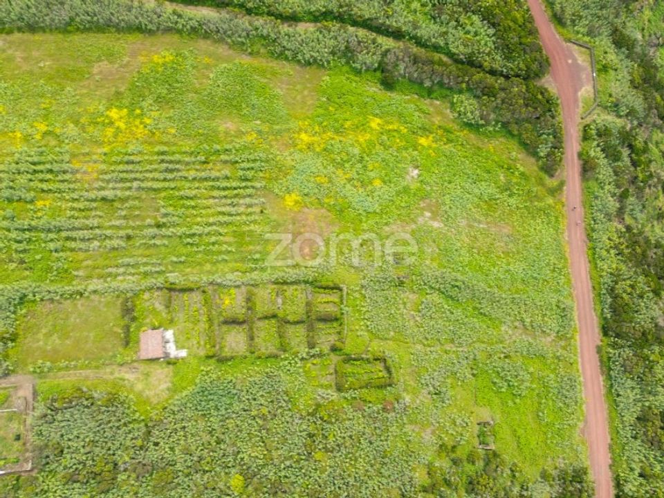 Helårsgrund i Capelo, Faial - foto 4