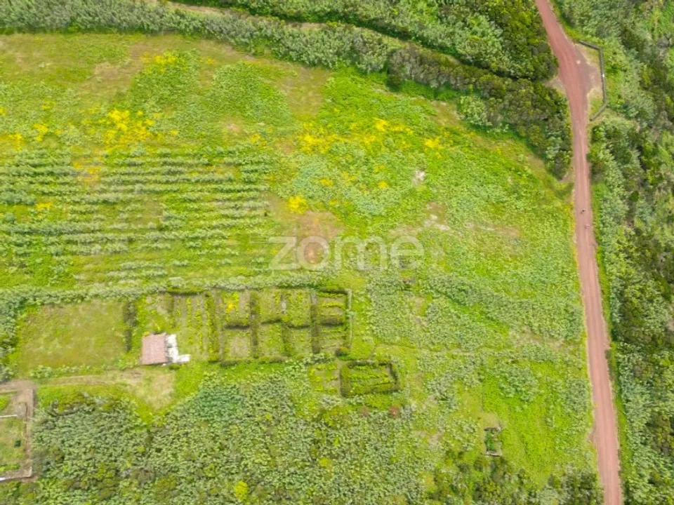 Działka: Capelo, Faial – zdjęcie 4