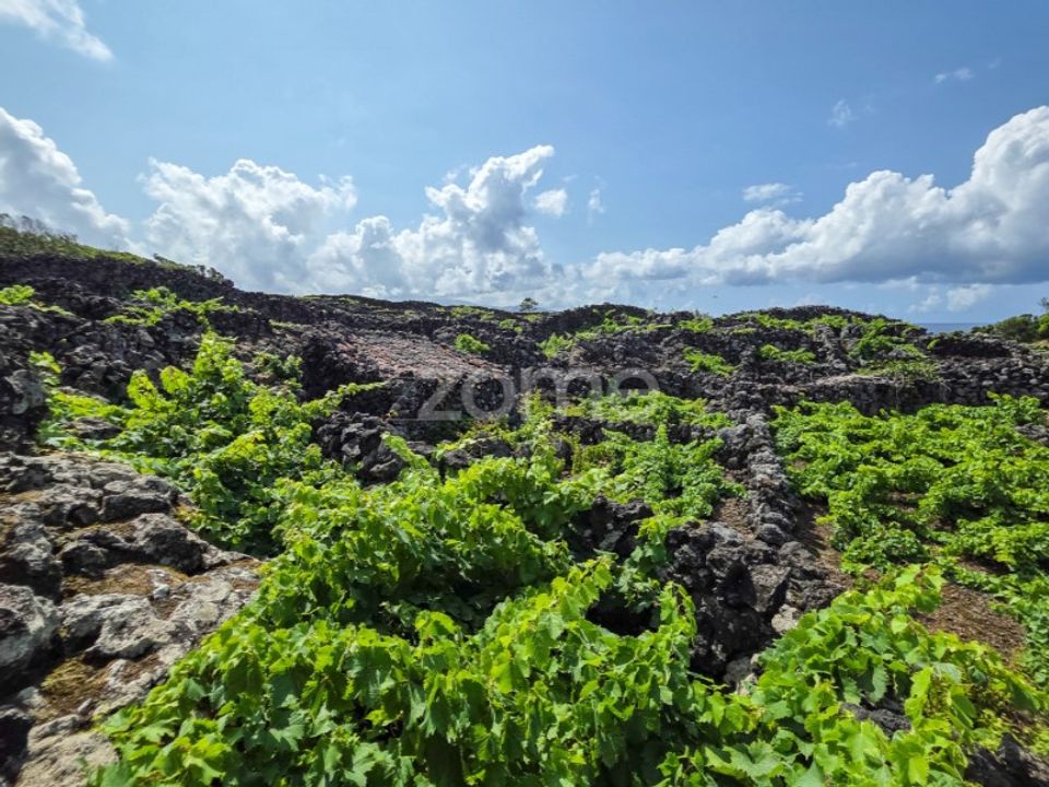 Helårsgrund i Madalena, Pico - foto 1