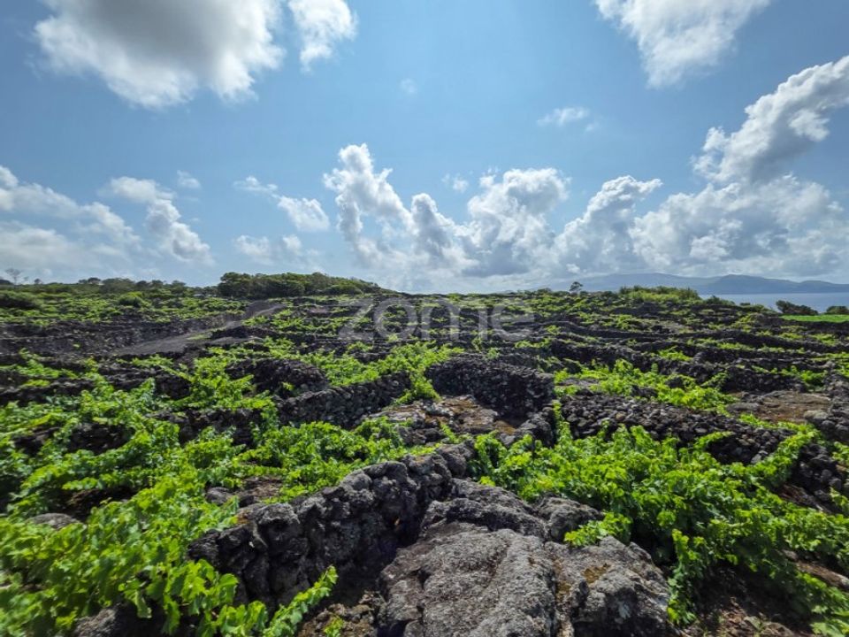 Helårsgrund i Madalena, Pico - foto 1