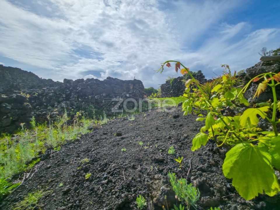 Helårsgrund i Madalena, Pico - foto 1