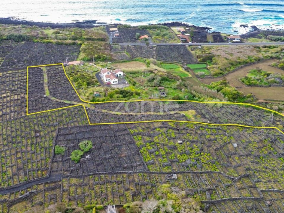 Helårsgrund i Madalena, Pico - foto 3