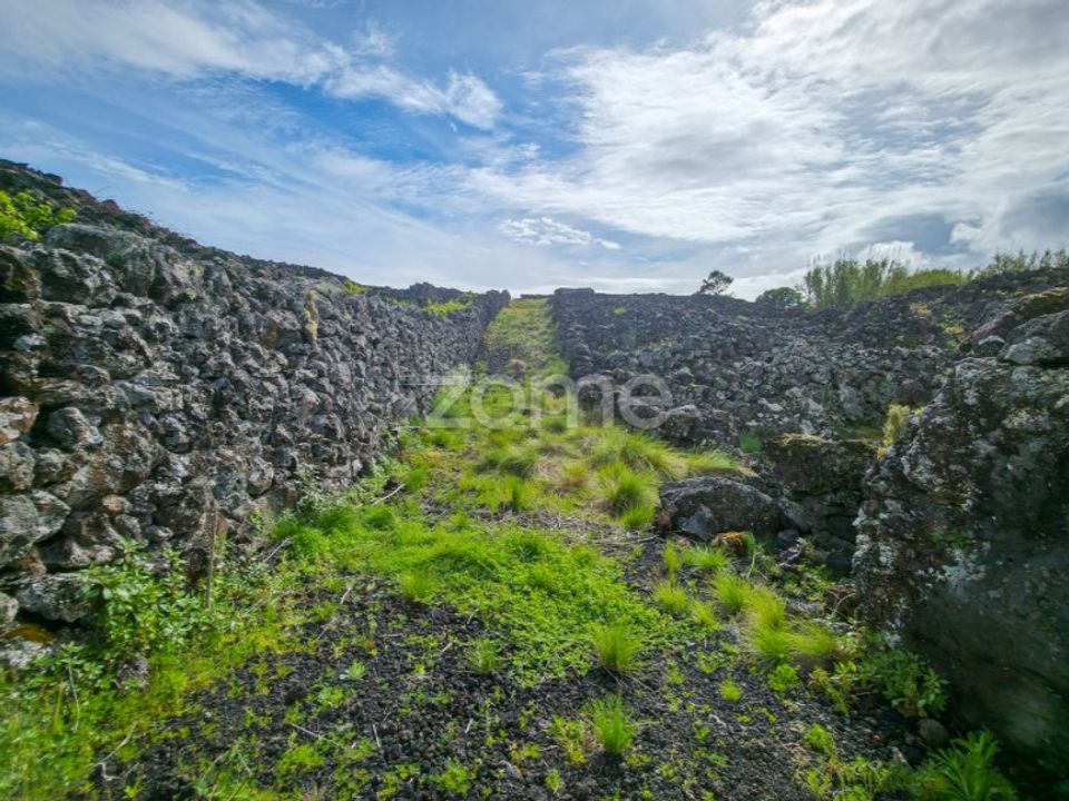 Helårsgrund i Madalena, Pico - foto 4