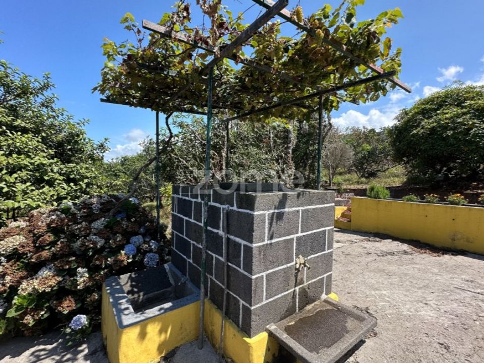 Farm i Rabo de Peixe, Sao Miguel - foto 1