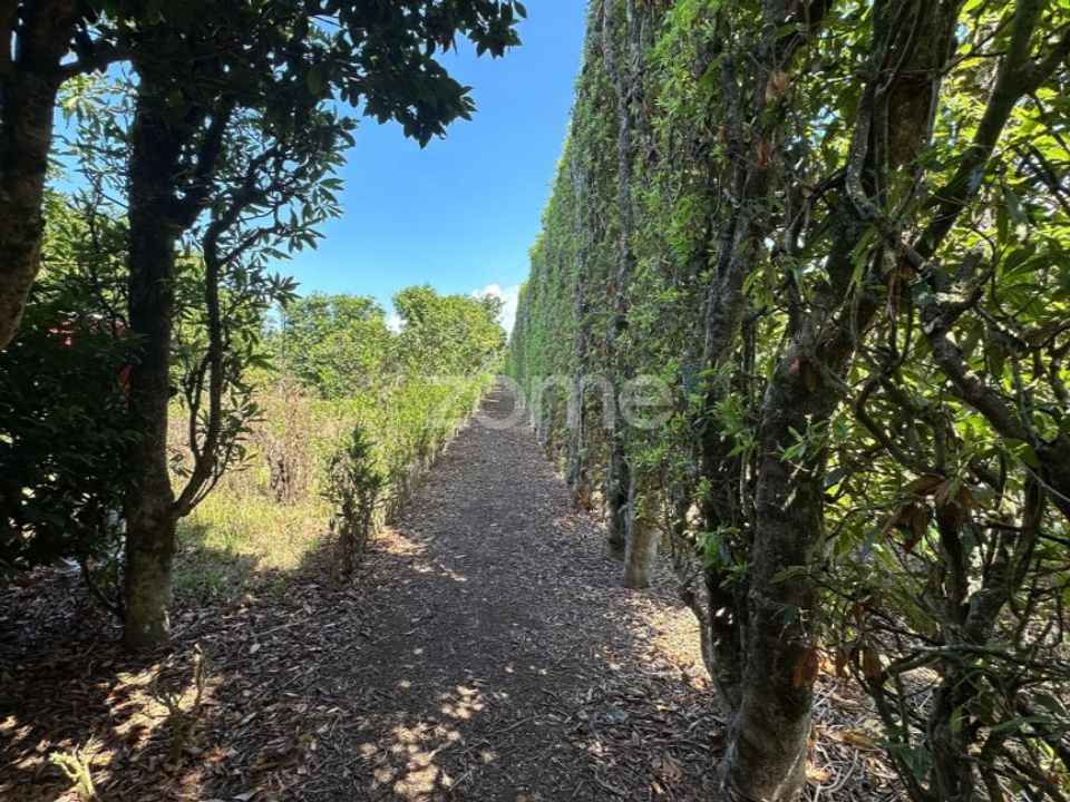 Farm i Rabo de Peixe, Sao Miguel - foto 1