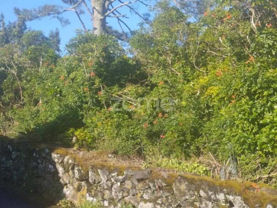 Helårsgrund i Bandeiras, Pico - foto 5