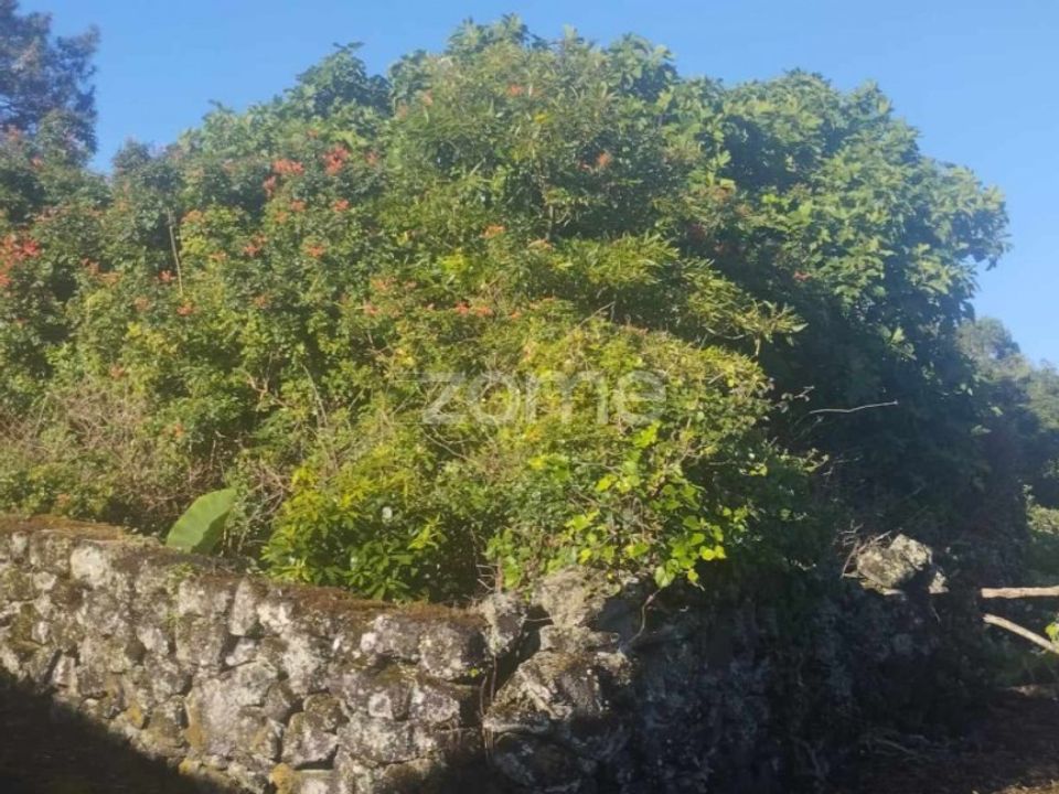 Terreno en Bandeiras, Pico - foto 5