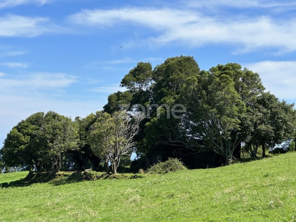 Helårsgrund i Ponta Delgada, Sao Miguel - foto 1