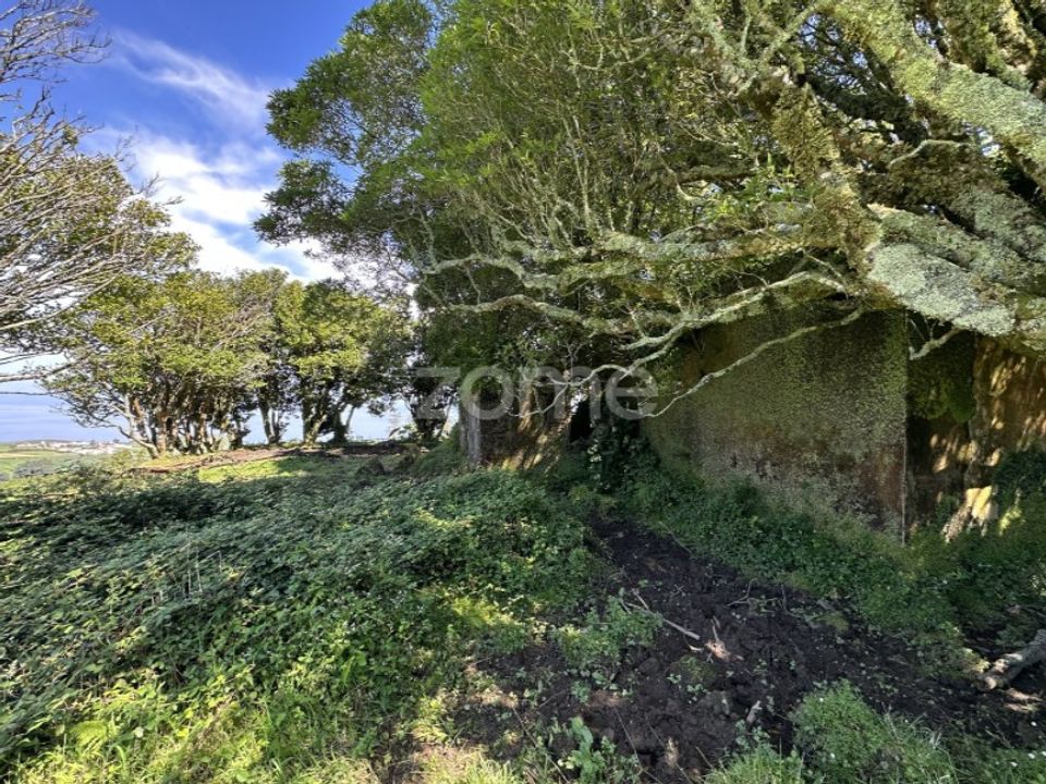 Helårsgrund i Ponta Delgada, Sao Miguel - foto 3