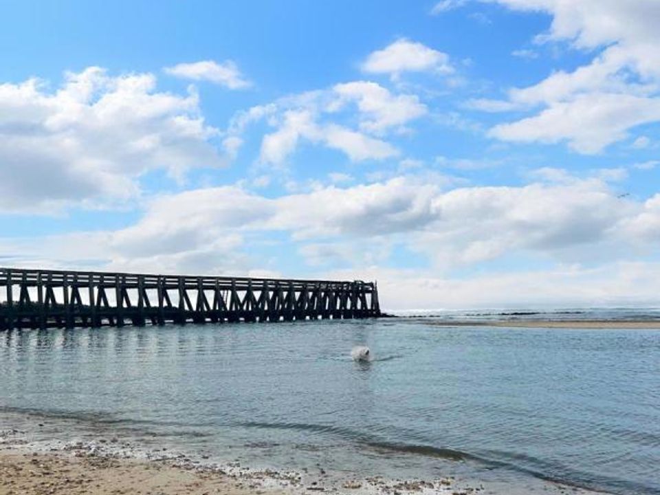 Lejlighed i Courseulles-sur-Mer, Calvados - foto 4