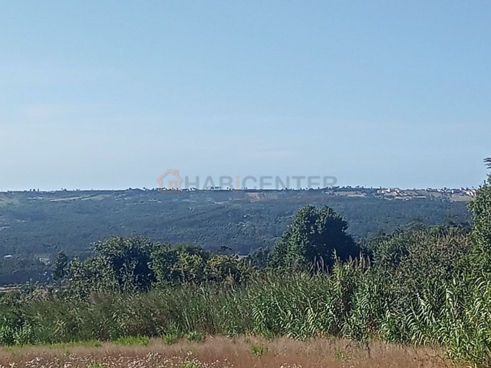 Helårsgrund i Nazare, Leiria - foto 3