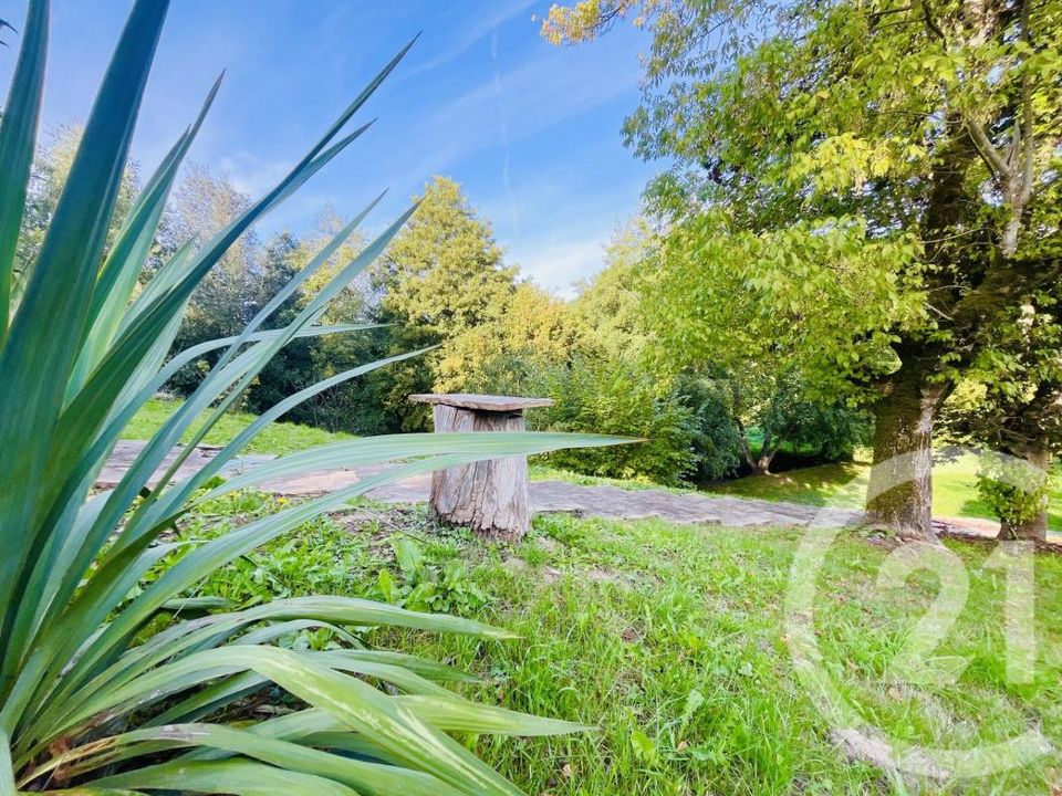 Villa i Limoges, Haute-Vienne - foto 5