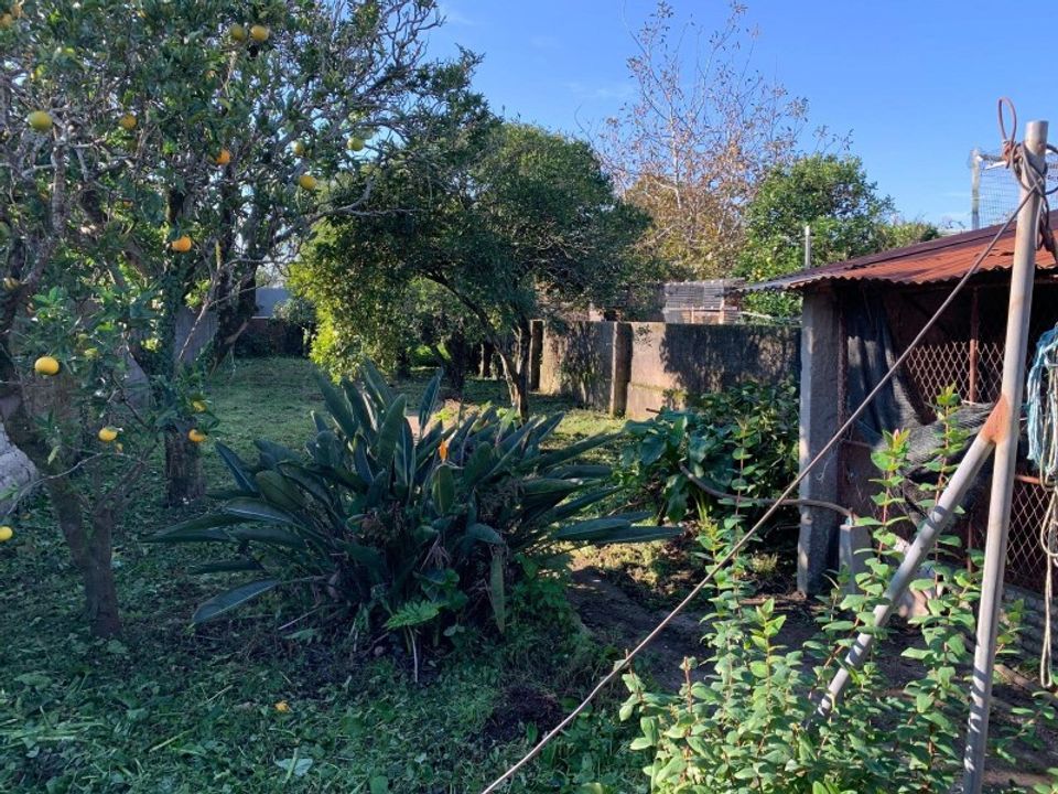Villa i Ilhavo, Aveiro - foto 3