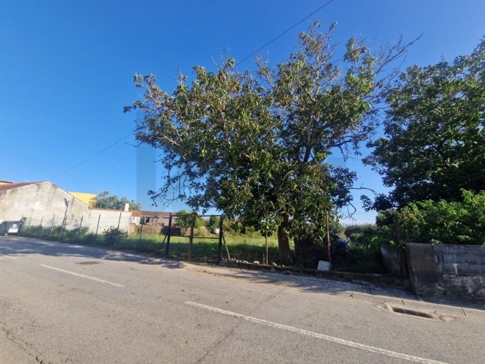 Helårsgrund i Albergaria-a-Velha, Aveiro - foto 3