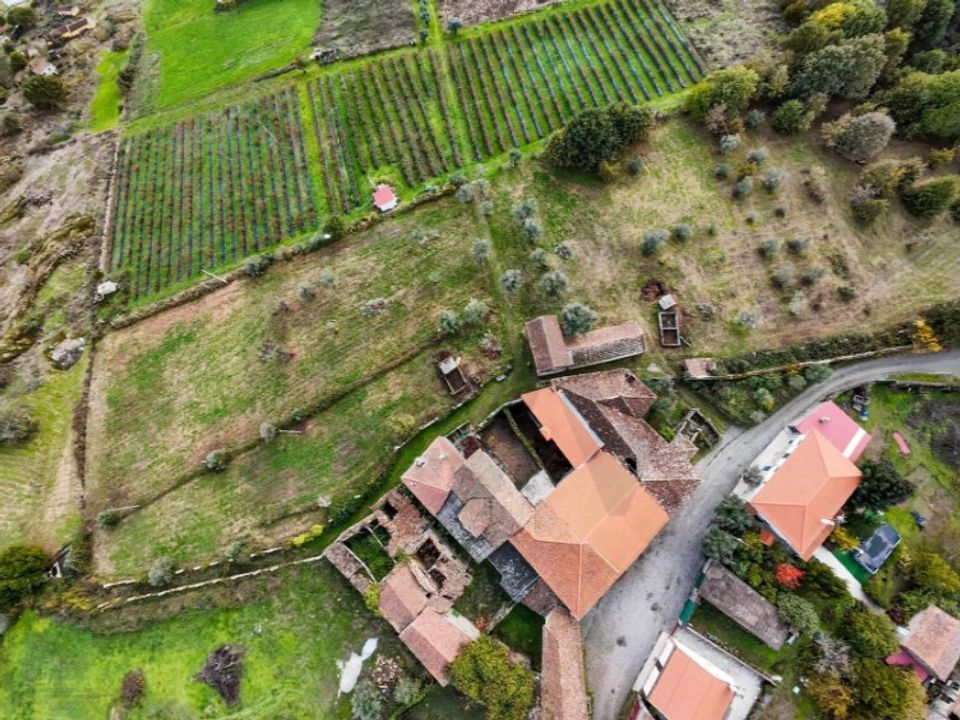 Farm i Satao, Viseu - foto 4
