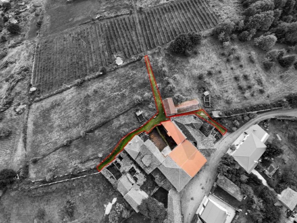 Farm i Satao, Viseu - foto 5