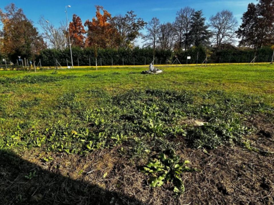 Villa i Cavezzo, Modena - foto 4