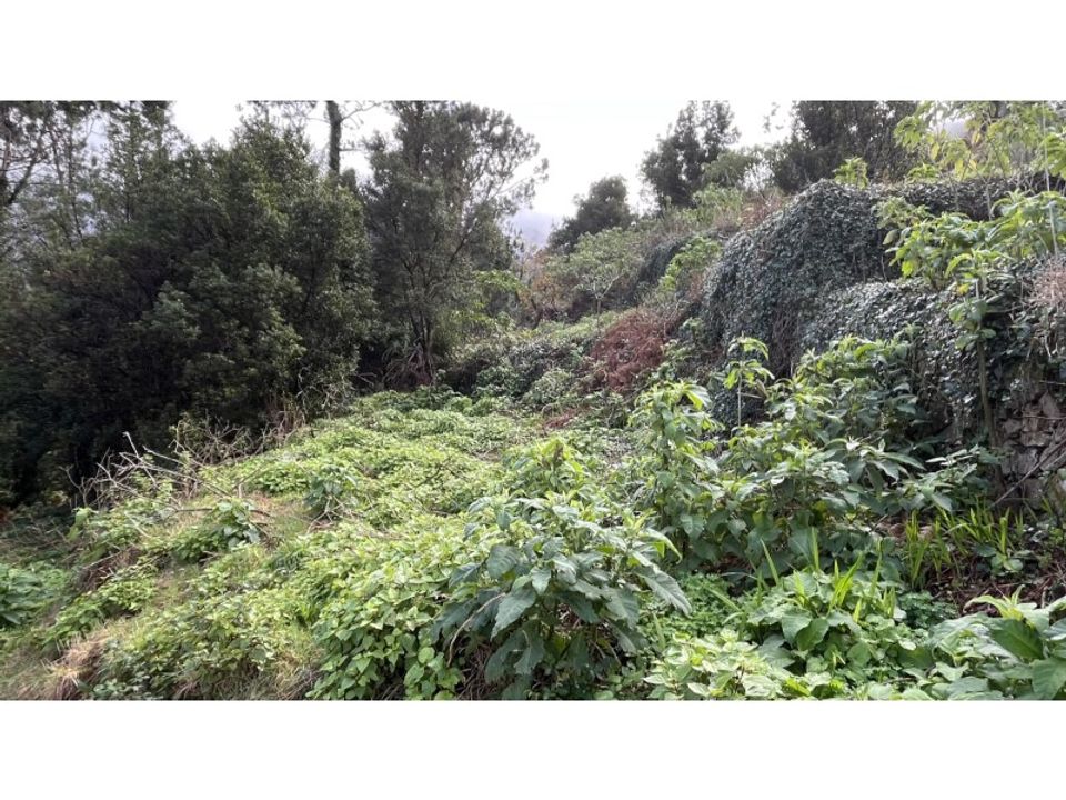 Helårsgrund i Chaves, Vila Real - foto 5