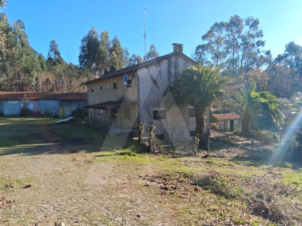 Erhvervsejendom i Arca e varzielas, Viseu - foto 5