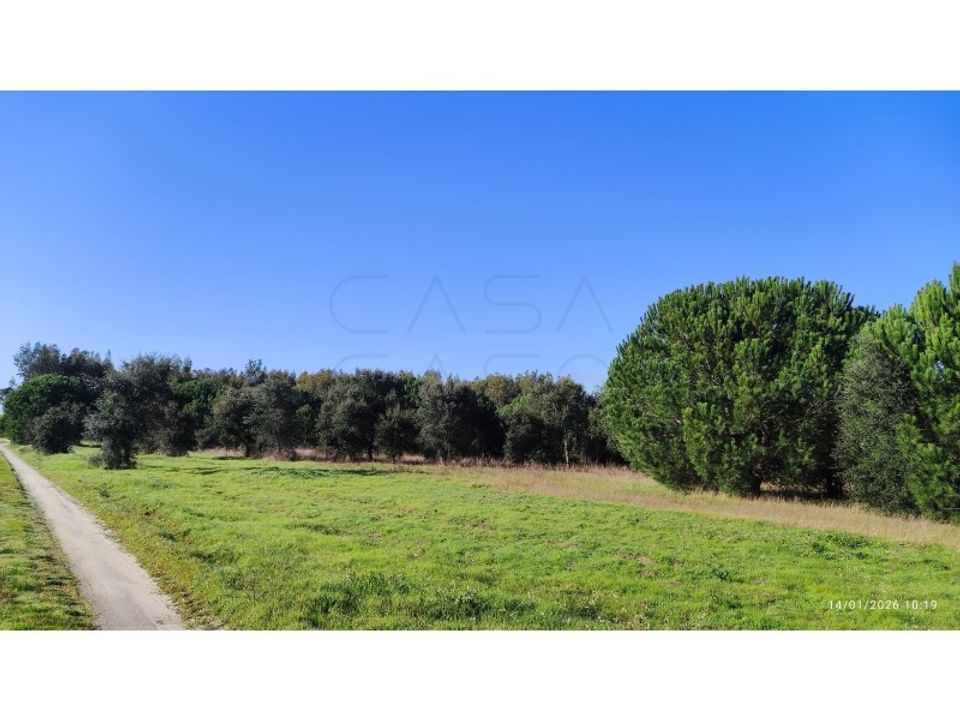 Helårsgrund i Montijo, Setubal - foto 1