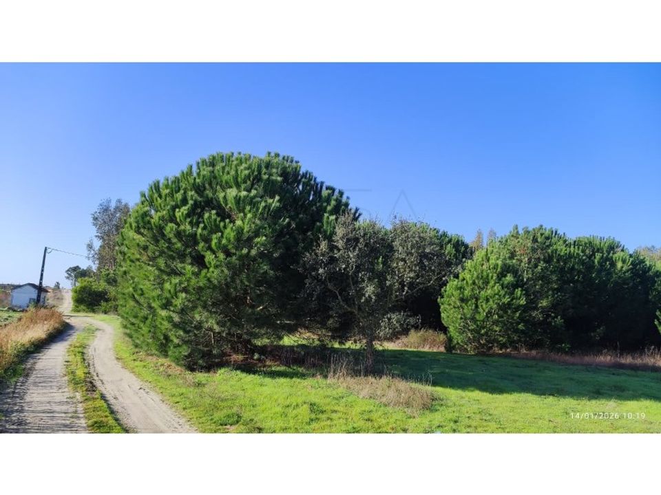 Helårsgrund i Montijo, Setubal - foto 4