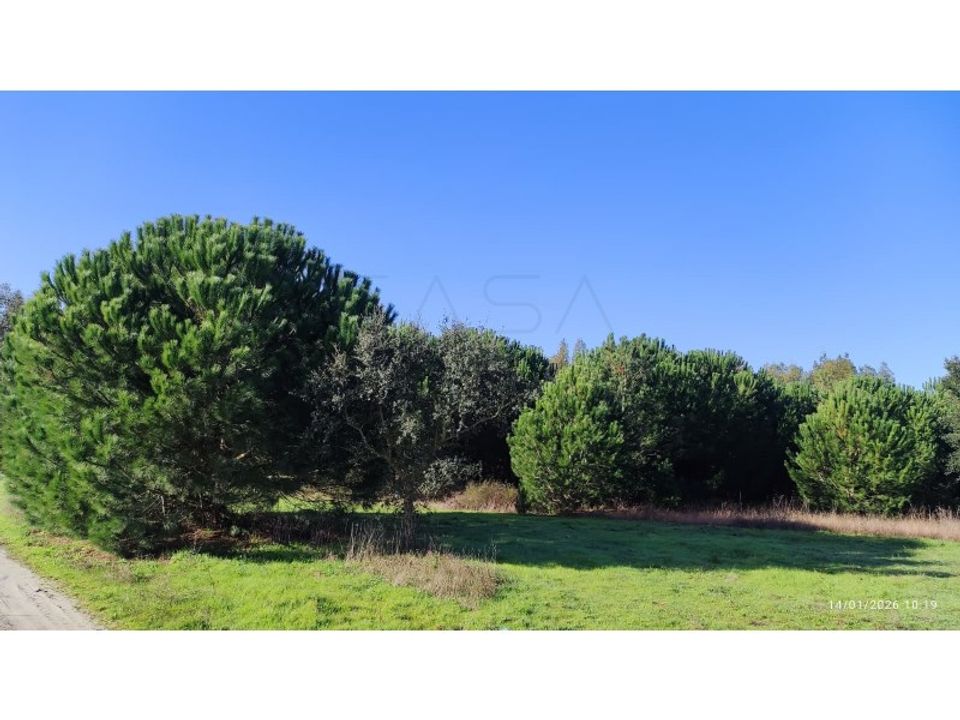 Helårsgrund i Montijo, Setubal - foto 5