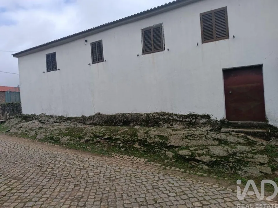 Byhus i Braganca, Braganca - foto 3