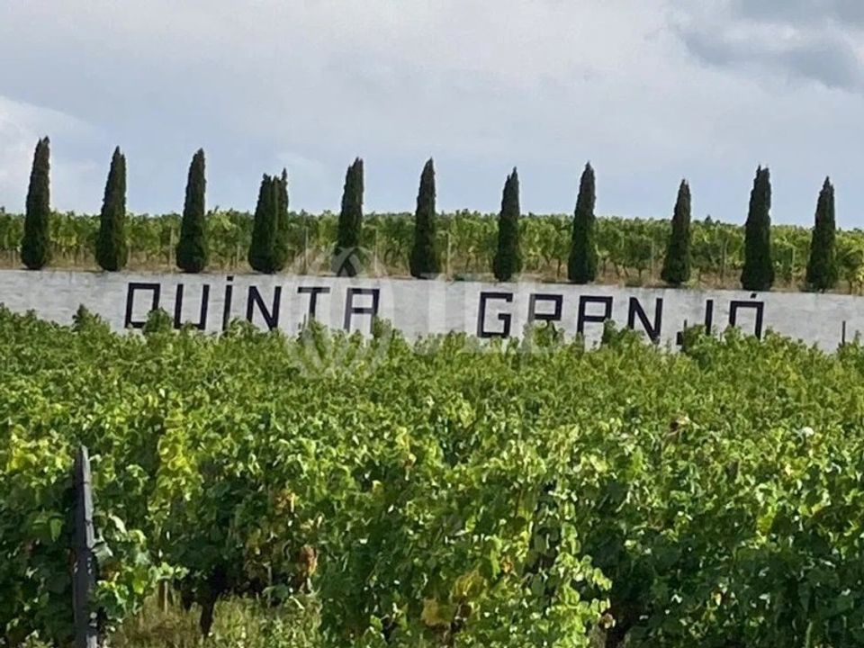 Helårsgrund i Alijo, Vila Real - foto 2