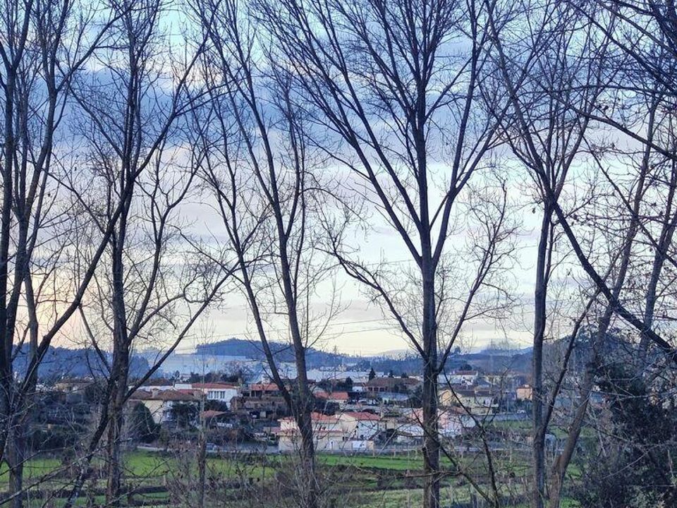 Tomt i Trofa, Porto - bilde 5