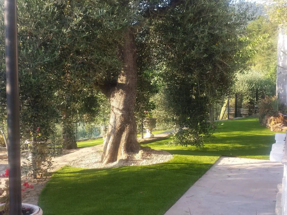 Villa a Perinaldo, Imperia - foto 1