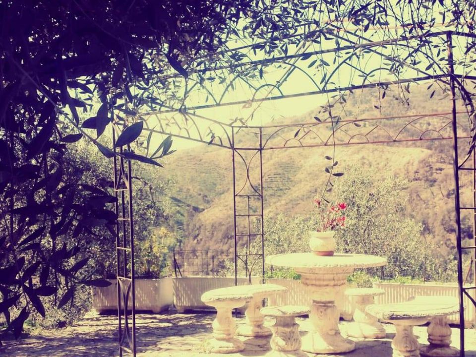 Villa a Perinaldo, Imperia - foto 4
