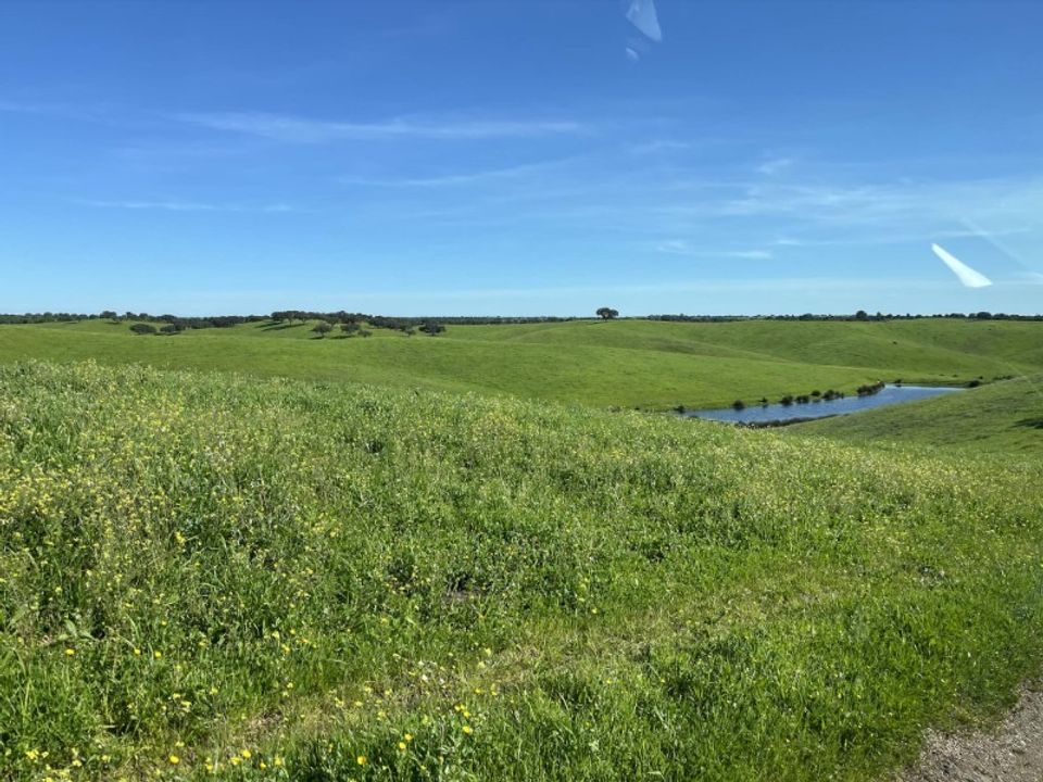 Landejendom i Cabeca Gorda, Beja - foto 2