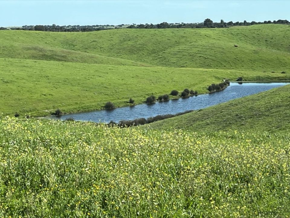 Landejendom i Cabeca Gorda, Beja - foto 3